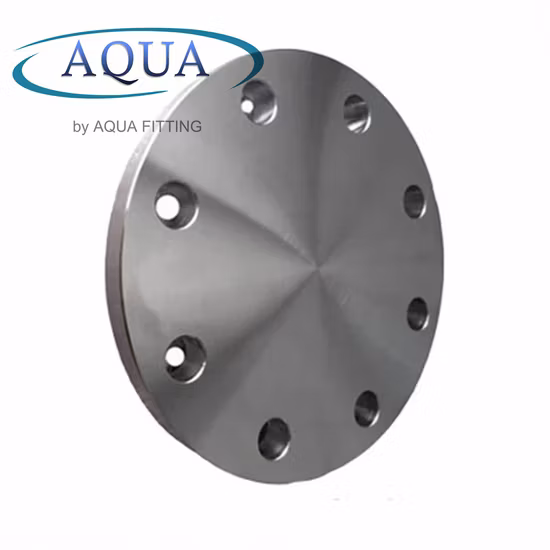 ASME/ANSI/DIN/GOST/BS En 150#-2500 Carbon Steel Plate Flat Face Pipe Flange