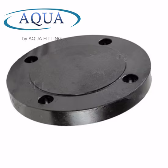 ASME/ANSI/DIN/GOST/BS En 150#-2500 Carbon Steel Plate Flat Face Pipe Flange