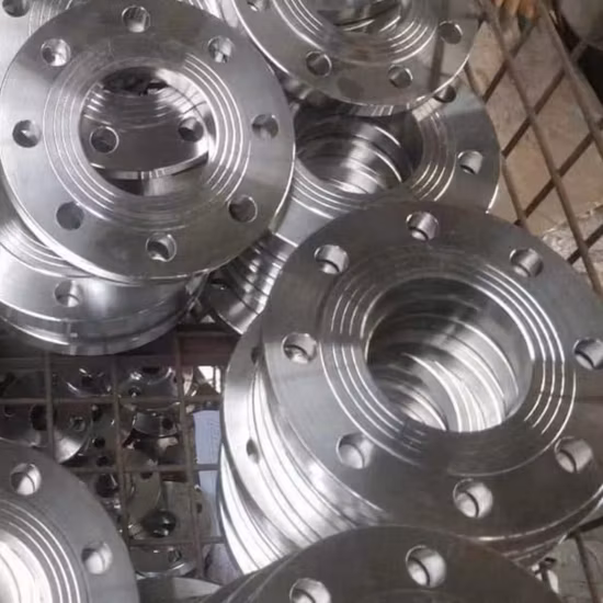 JIS Standard DN25 10K SS304 Stainless Steel Plate Flange