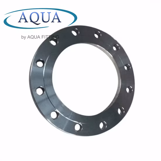 ASME/ANSI/DIN/GOST/BS En 150#-2500 Carbon Steel Plate Flat Face Pipe Flange