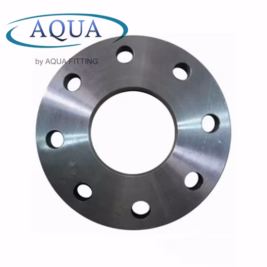 ASME/ANSI/DIN/GOST/BS En 150#-2500 Carbon Steel Plate Flat Face Pipe Flange