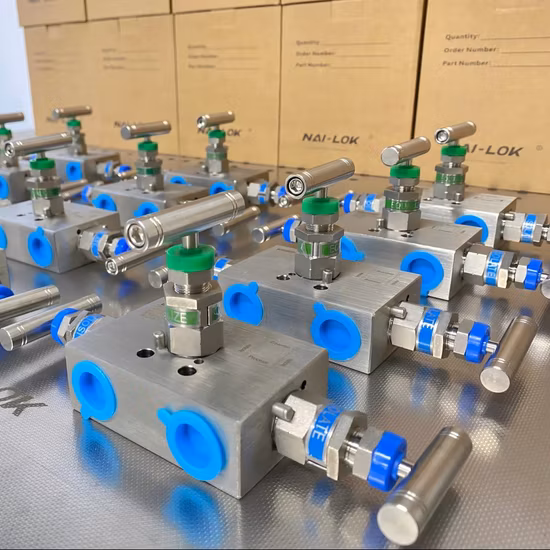 Ventilverteiler aus Edelstahl, 2-Wege-Ventilverteiler für Drucktransmitter